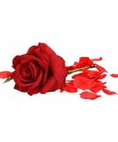 Valentijns kado nep rode roos 31 cm met rozenblaadjes